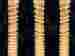 10464 Efavormart Stylish Led Lights 15 Ft Super Party Trail String El Sound Activated Orange