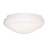 113 Harbor Breeze White Frost Globe Ceiling Fan Light 080629300095