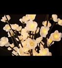 184110 The Light Garden White 899797000245