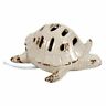 20534web Dennis East International Sea Turtle Plug In Lamp