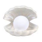 214816 What On Earth Color Changing Pearl Shell Light 008733958131