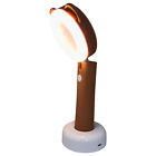 22276-6 Creative Motion Lamp Desk And Handheld Portable Torch 748587222766