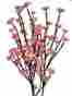 29972 11480 Cmi Pink Cherry Blossom Fiber Optic Lights W 3 Branches Adapter Id 748587114801