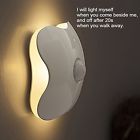 3056 Topoint Motion Sensor Night 753940387853