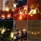 3550 Excelvan Lighted Christmas Deer 986538753550