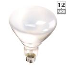 387795 Philips 65-watt Br40 Flood 046677387792