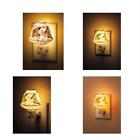 43188211953 The Paragon Night Lighting Ceiling Fans Light Decorative 8989870985148