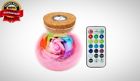 43219-68294 Jklcom Rose Flower Bottle Light Remote Control Led 691197465378