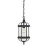 5-0631-bk Savoy House Light Outdoor Hanging Style With Transitional 822920094613