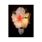 8357210 50003 Ibis Orchid Design Hummingbird 835721500030