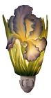 8357211 50006 Ibis Orchid Design Bearded 835721500061