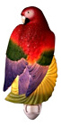 50020 Ibis Orchid Design Macaw Parrot Night Light And 835721500207