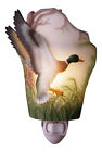 8357216 50030 Ibis Orchid Design Duck 835721500306