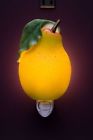 50052 Ibis Orchid Design Pear 024258429802