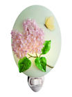 50219 Ibis Orchid Design Sweet 835721502195