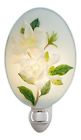 8357217 50244 Ibis Orchid Design White 835721502447
