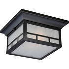 60 5606 Nuvo Lighting Drexel 2 Lt Outdoor Flush Fixture W Frosted Seed Glass 045923656064