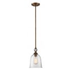 60-5866 Nuvo Lighting Fern Light Small Pendant With Clear Seeded Glass