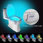 603849141042 Winblink Toilet Night Light