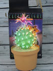 604020061111 Unbranded Fiber Optic Cactus Colorful Lights