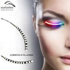 614070108391 Iweller Led False Eyelashes