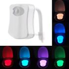 6166107758795 Unbranded Led Toilet Bathroom
