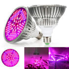 629772043376 Unbranded Indoor Led Grow Light Bulb For Hydro