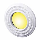 65449 The Renovators Supply 5 Spot
