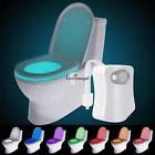 681155293204 Unbranded Toilet Night Light Motion Activated Sensor Bowl