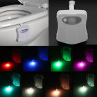 6900040 Wowled 2 Pcs Toilet 611720062300