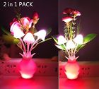 6932160412154 Warmstor 2 Pcs Night