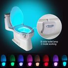 712318314983 Domini Toilet Night Light Bowl Led Sensor