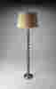 7124116 Butler Specialty Floor Lamp