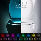 72706 Gold Armour Toilet Night 647267932745