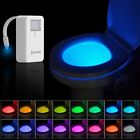 754185215543 Ortz Motion Activated Toilet Light Night Free Batteries