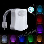 766008561973 Unbranded Toilet Sensor Led 766008561973 Unbranded Toilet Sensor Led