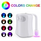 766008566770 Unbranded 8 Colors Human