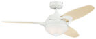 7869100 Westinghouse Arcadia Two Light 024034786914