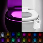 795410336503 Neolight Toilet Light 16