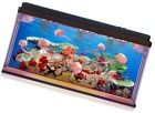 798256077760 Ocean World Jellyfish Aquarium