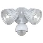 80668 Home Security Lights Zone 603305580668