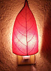 810927014819 Eangee Home Design Nib Leaf Nightlight Pink Made