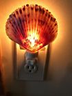 8544 The Seashell Company Clam Nightlight Natural Shell Night Light