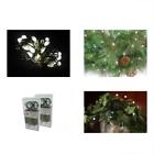 Ba03w036a1b Starlite Creations Light White Led Bright Battery Operated 4897017755070