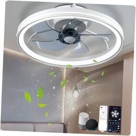 Bs-9223-fl-hwss Baysquirrel Smart Ceiling Fan With Light 18.9 Inch Low Profile 6-speed And Fashion White