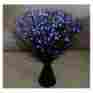 Black Fiber Optic Blue Party Light Night Lamp Sale 0887600550933