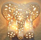Bo74890 Light Us Night Elephant 603305774890