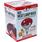 170024 Bulb Heat Pack Poultry 12 Red Lamp 250 Millerco Watt