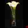 Clwt8-b The Light Garden Battery Powered White Calla Lily Floral Accent 8 Led B 813366010732