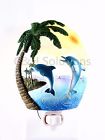 Cn-13 Cnh Paradise With Two Dolphin Swimming Sunshine Over 617135687572